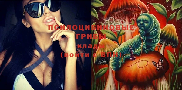 тгк Надым