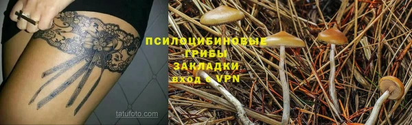 молекула духа Наволоки